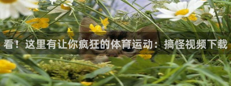杏运f凯捷注册
