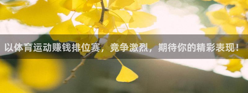 杏运代理注册官网入口