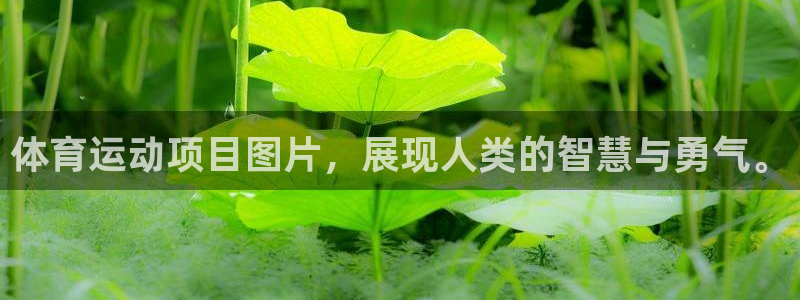 杏运体育1招商