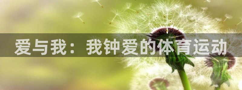 杏运3登陆