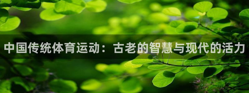 杏运体育
