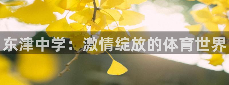 杏运4代理
