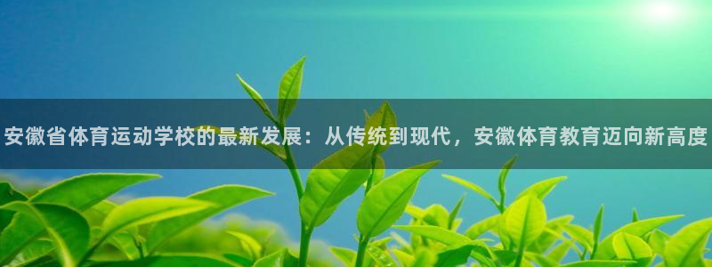 杏运体育凯捷平台注册