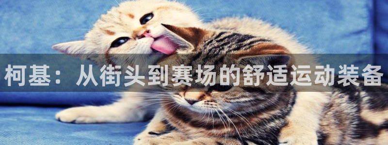 意昂扬是什么意思