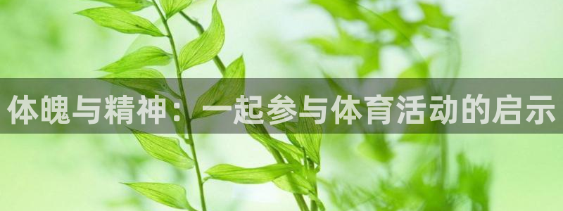 杏运3