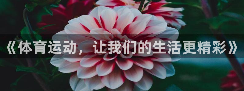 意昂代理注册官网入口