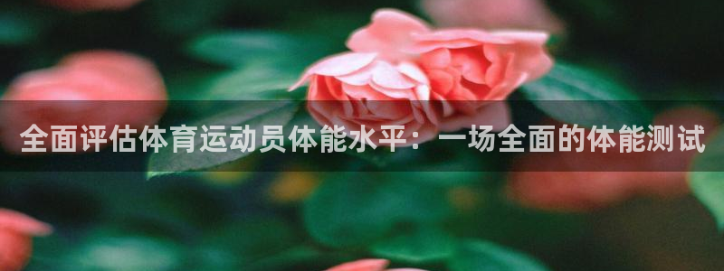 杏运体育论坛