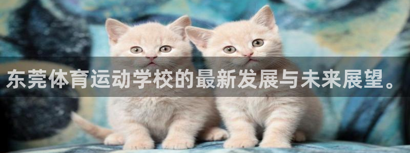 意昂3平台注册