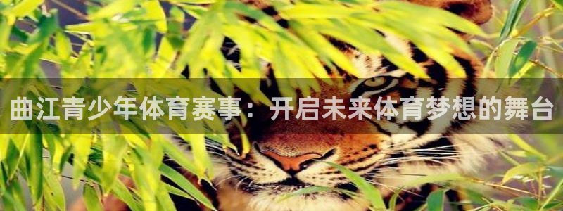 杏运2登录