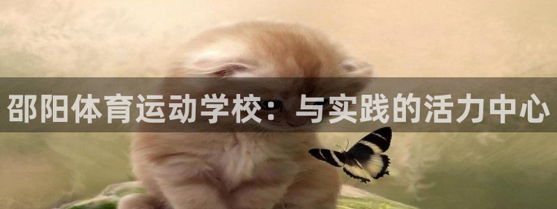 德国意昂集团