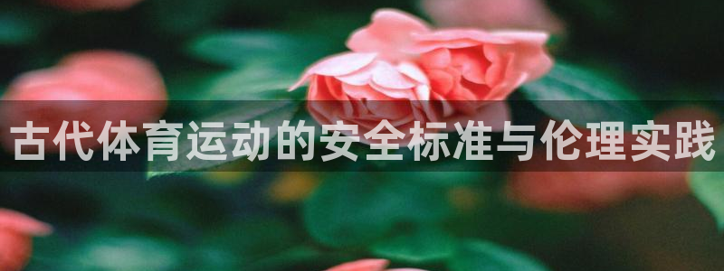 杏运体育凯捷平台招商