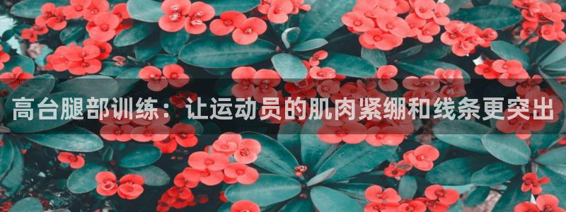 杏运2代理注册