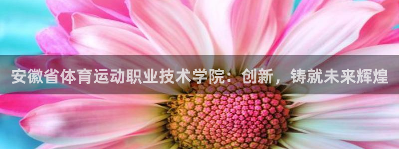 杏运体育官网入口登录
