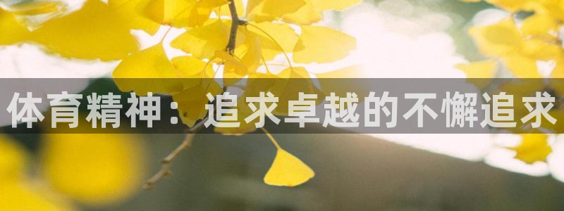 杏运4代理