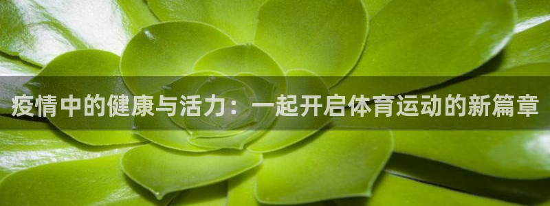 杏运4代理