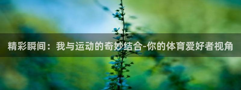 意昂是什么品牌
