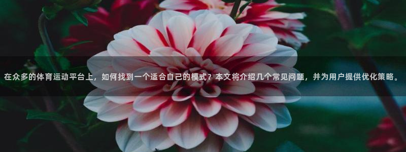 杏运kgame